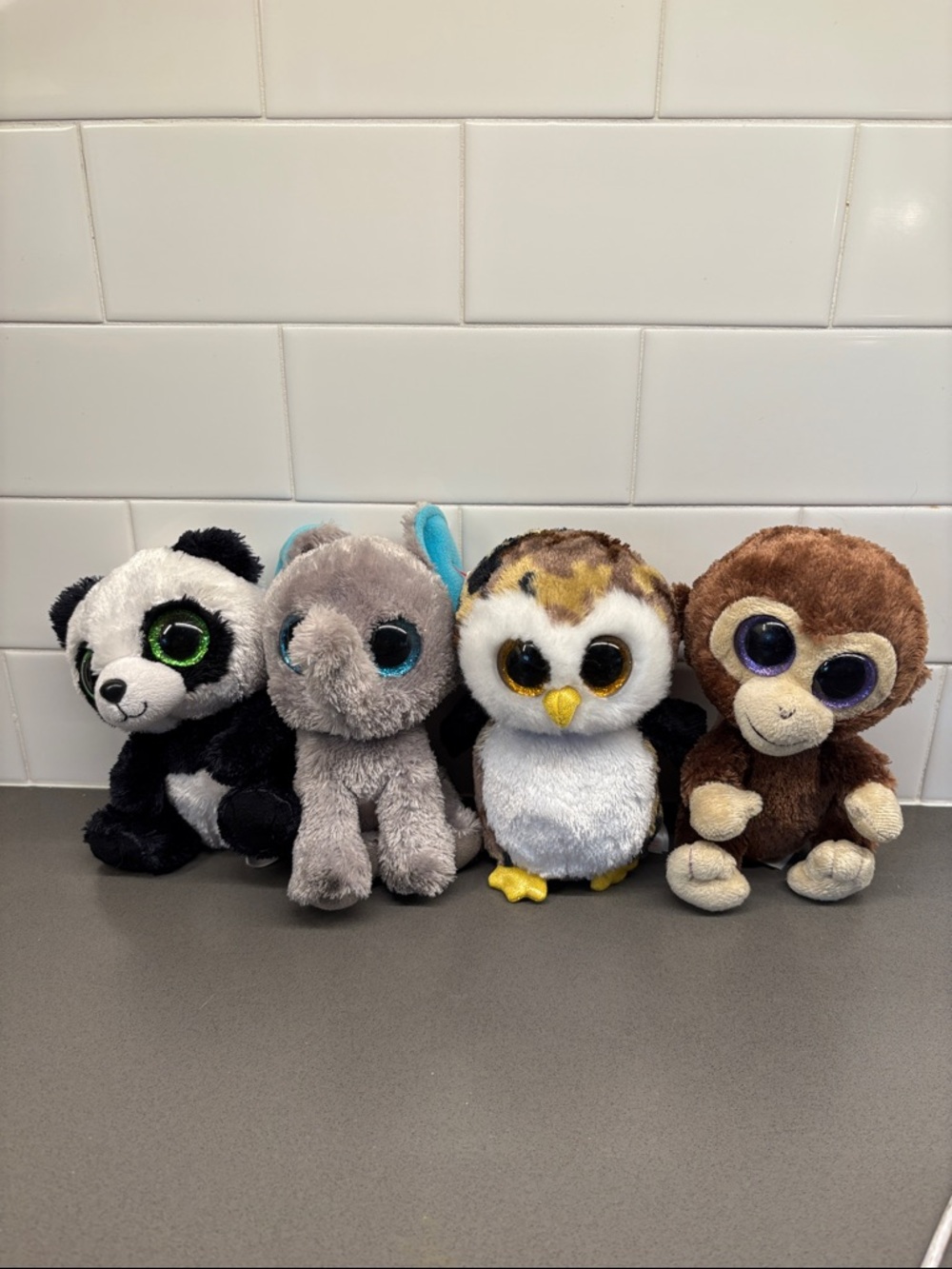Beanie Boo Toy Collection